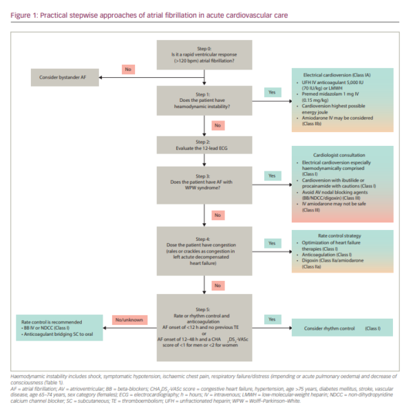 Rapid Atrial Fibrillation in the Emergency Department – touchCARDIOLOGY