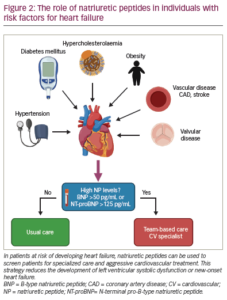 Natriuretic Peptide-guided Therapy For Heart Failure – TouchCARDIOLOGY