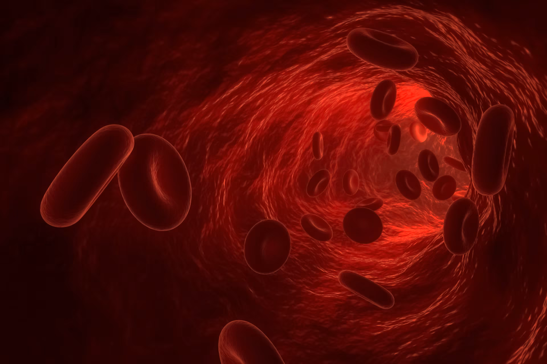 3d render of red blood cells or corpuscle flowing in a blood vessel.