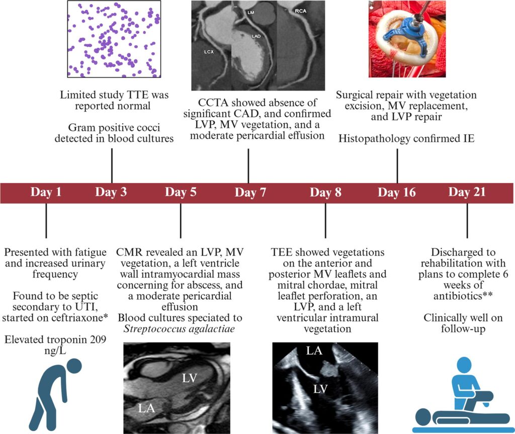 Figure 3: Timeline of clinical course